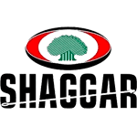 Shaggar City